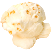 Popcorn Kernel One